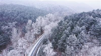 看似感冒可能危及生命 专家教你如何识别急性喉炎